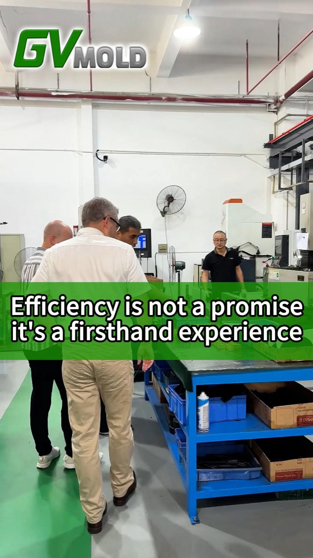 GV MOLD: Efficiency is not a promise, it's a firsthand experience.