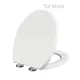 Custom Plastic Injection Mould for White Toilet Seat Cover 1